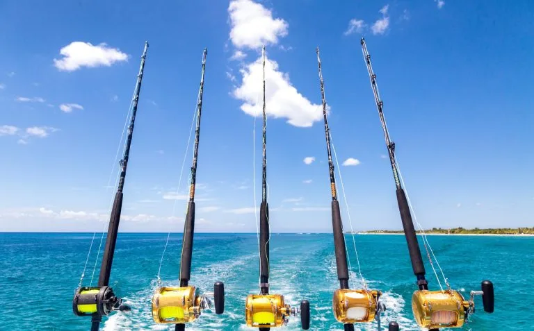 Private Yacht Fishing Trip Dubai — 2